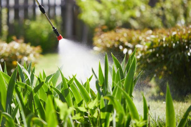 24/7 Emergency Ant Control experts in Hope, IN